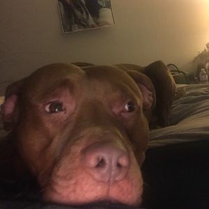 Meet your Posher, Elena